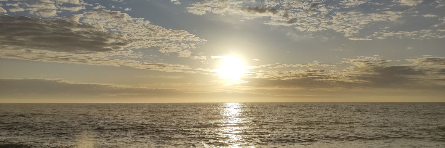 BravlinLeonel's profile banner image