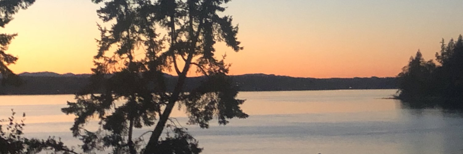 KristenEnvarli's profile banner image