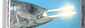 jlabarr17's profile banner image