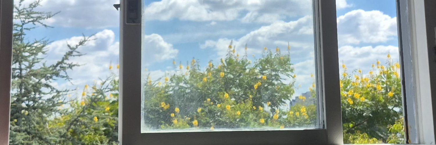 RiosDaia's profile banner image