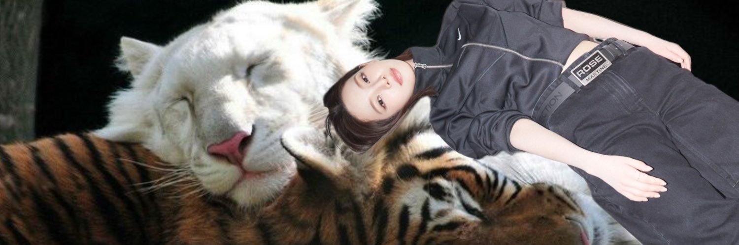 m🐾 banner