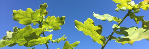 jamesemcdonald Profile Banner