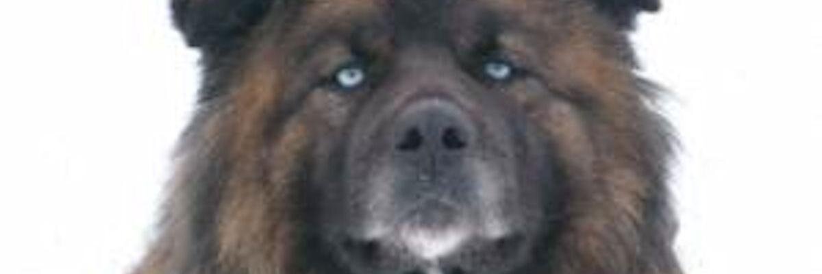 TreasuresTrish's profile banner image