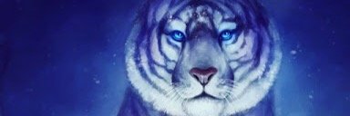 Chief_Keef77's profile banner image