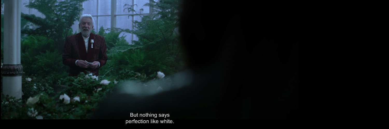 serialrafeist's profile banner image