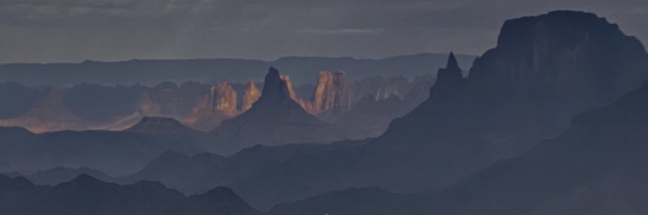 محمد البلوي banner