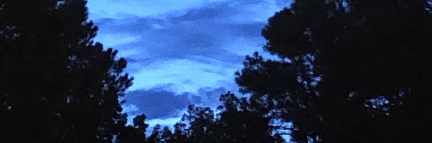 tbr723's profile banner image