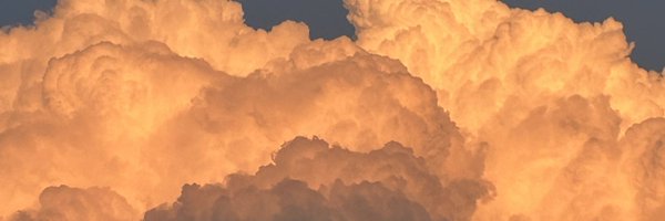 ju1chakal Profile Banner