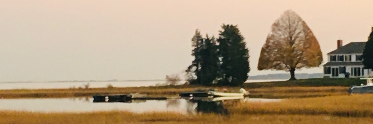 Shelbertina's profile banner image