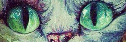 _florarce's profile banner image