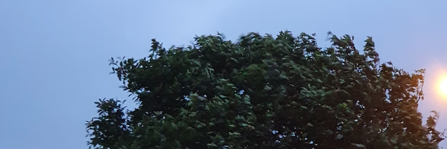 EmLinthorpe's profile banner image
