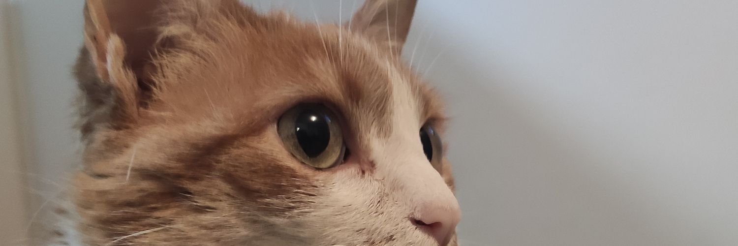 DftgTg's profile banner image