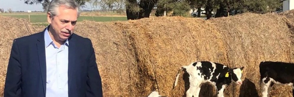 LaVacaAtada banner