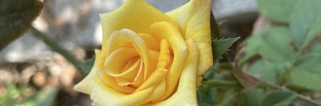 S_Oa92's profile banner image