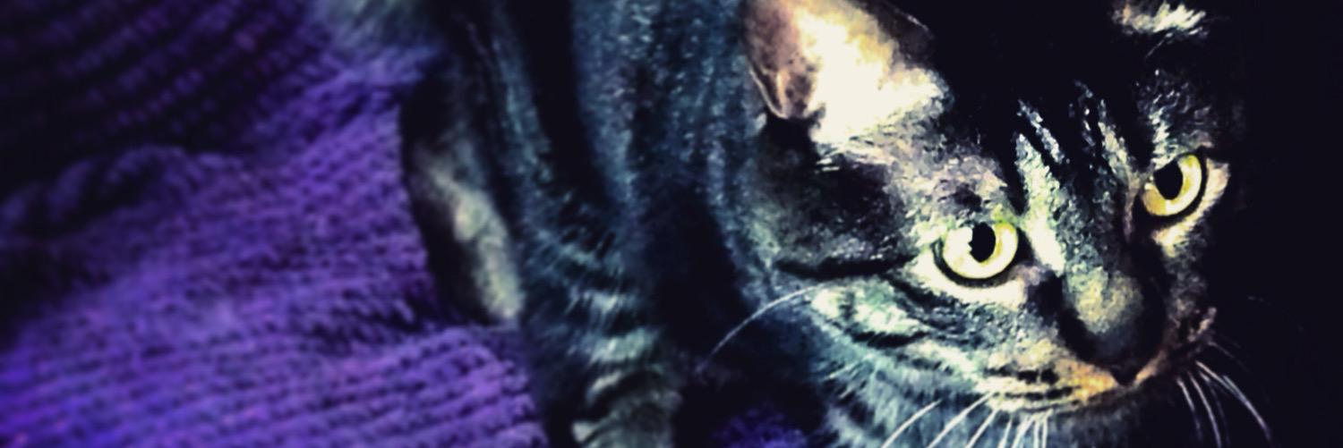 FullMoonCrazys's profile banner image