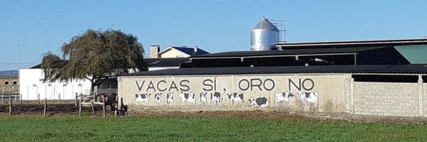 Rozmarakiraly Profile Banner