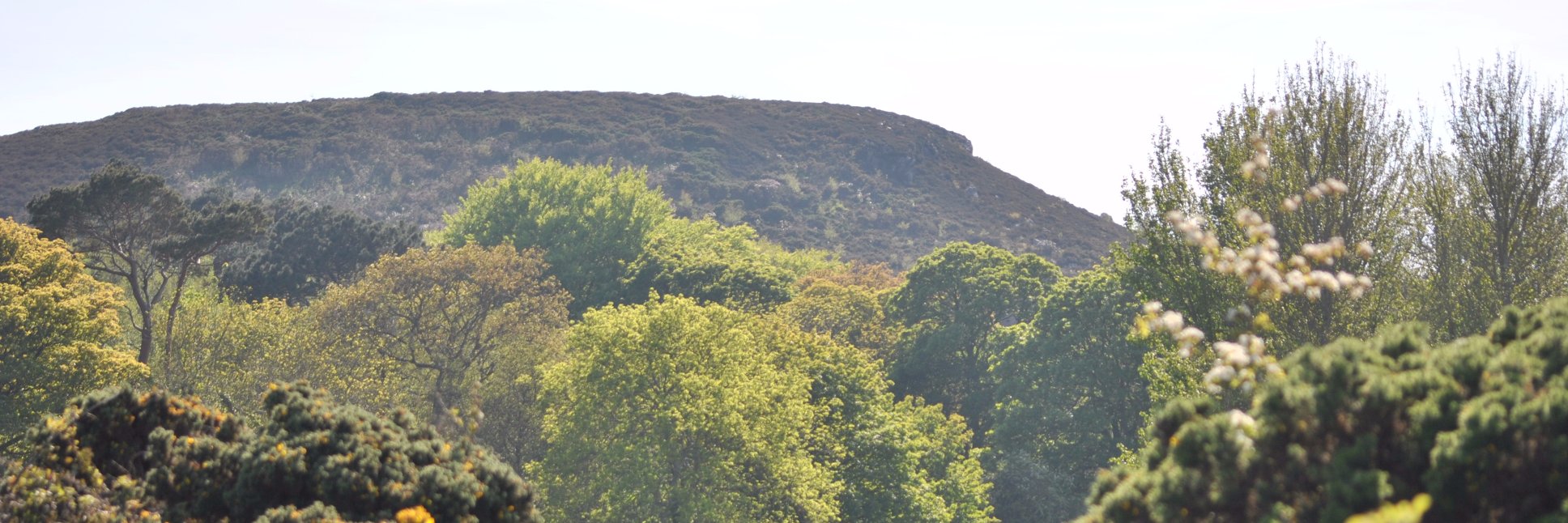 Aidan O'Hanlon banner