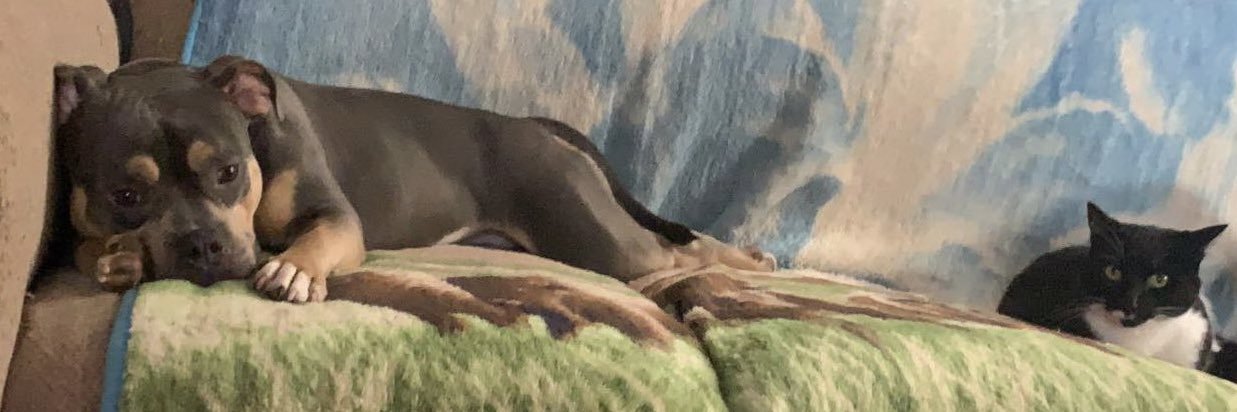 lyssbitch69's profile banner image