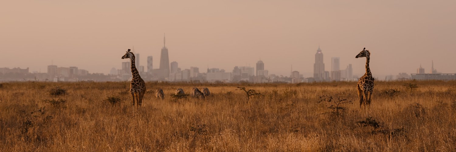 griffith gitau banner