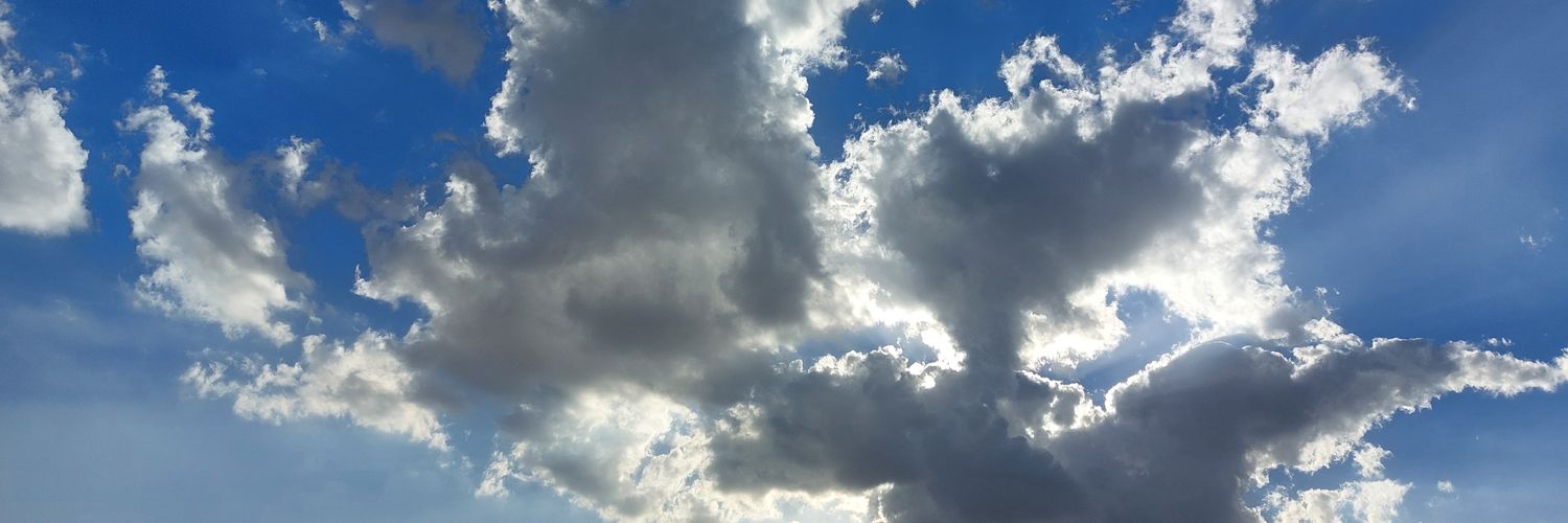 radwareffaat's profile banner image