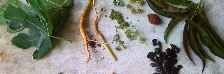 Andrea Reusing banner