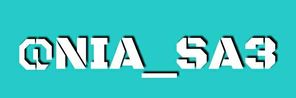NIA_SA3's profile banner image
