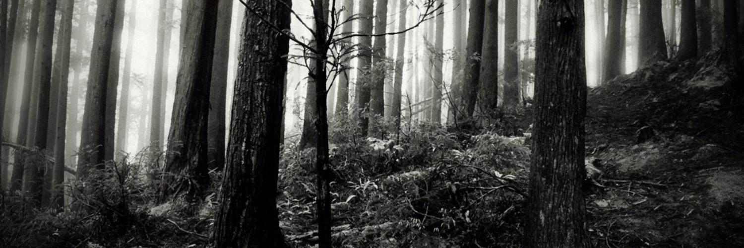 AyooAbi_'s profile banner image