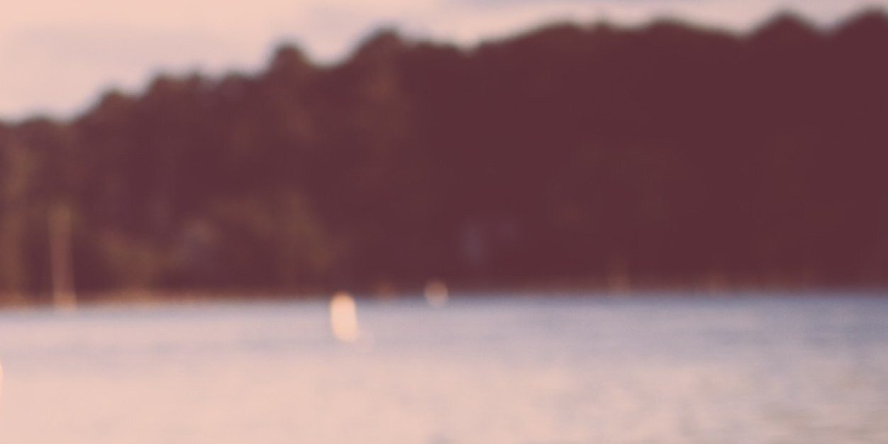 Shawna 💚💗 banner