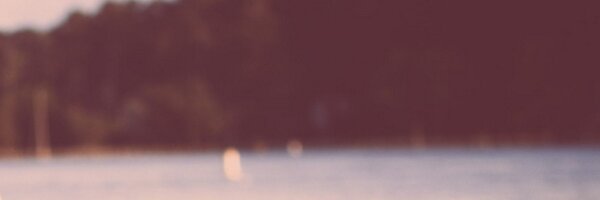 shawlaw Profile Banner