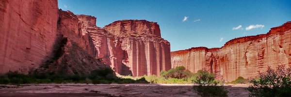 RespiraArg Profile Banner