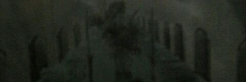 1sharmar6's profile banner image