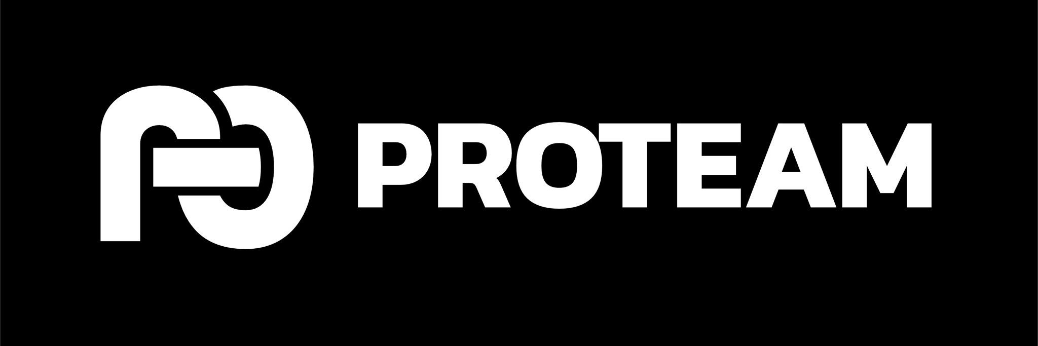PROTEAM banner