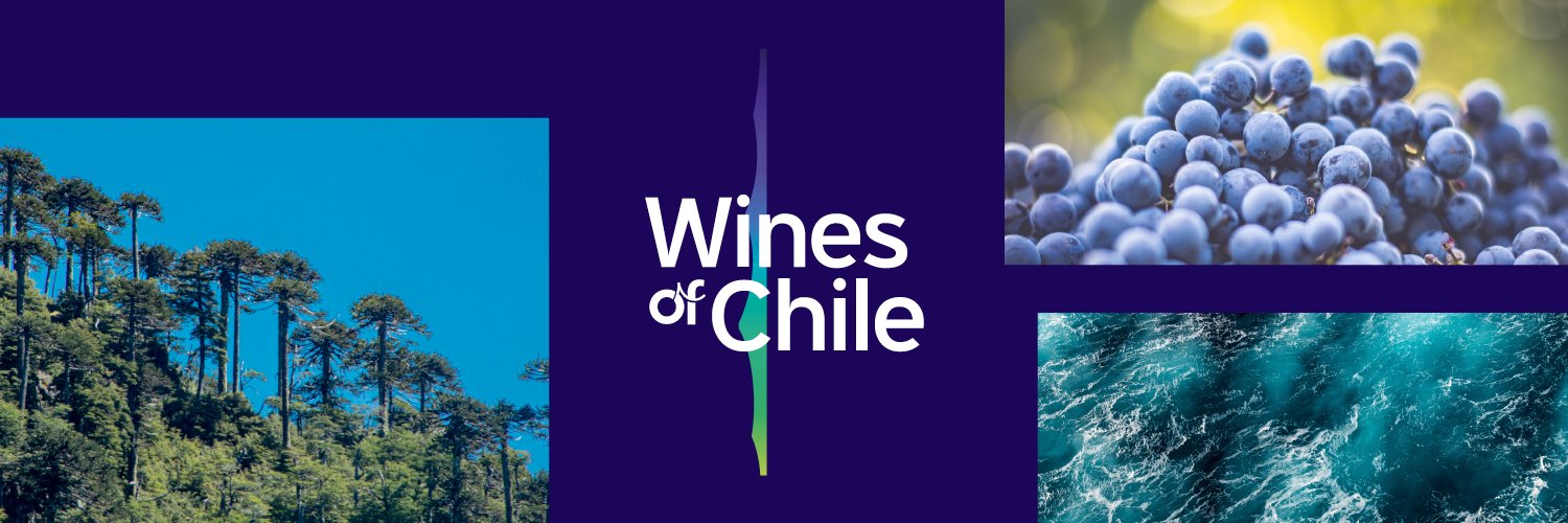 DrinkChile's profile banner image