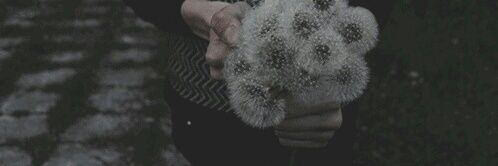 SAH_A_FFS's profile banner image