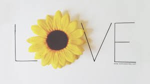 samarah - com h banner