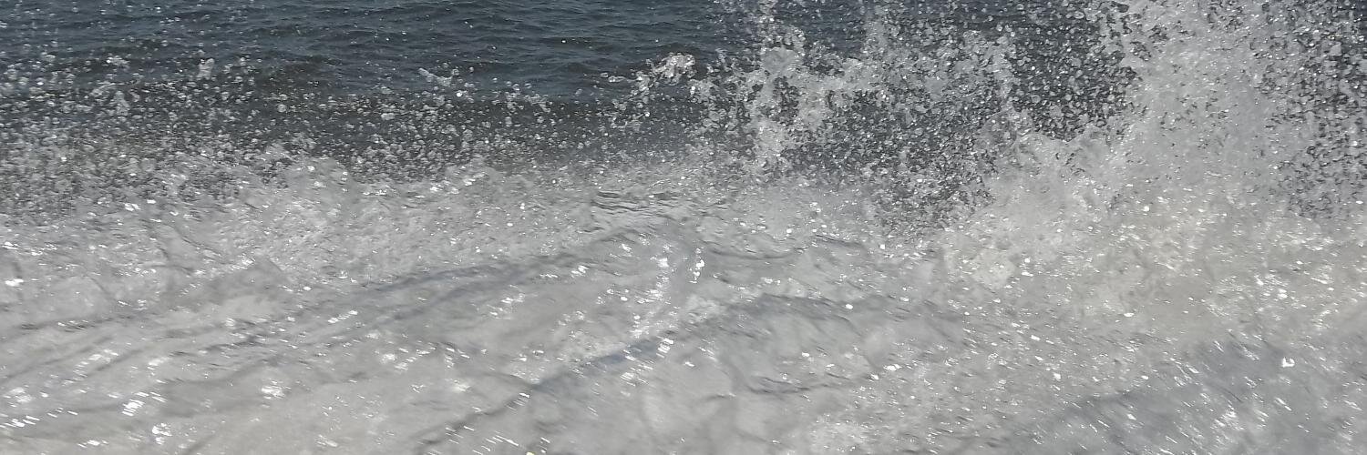 peart_terri's profile banner image