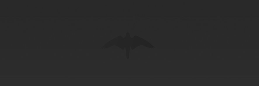 Ironhawk banner