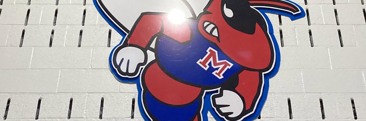 Monroe Basketball banner