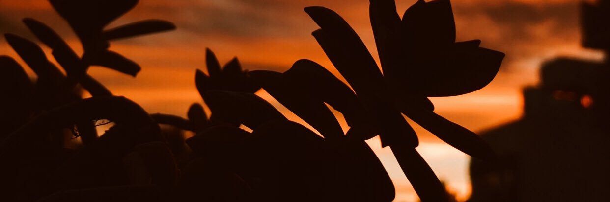 IriarteeValen's profile banner image
