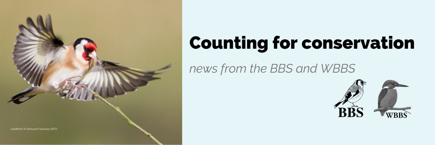 Breeding Bird Surveys's banner