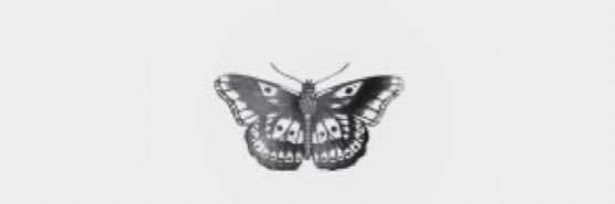 KatelynVanChau's profile banner image