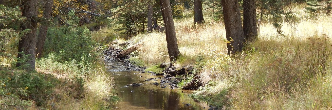 tom schmitz 🇵🇸🍉 banner