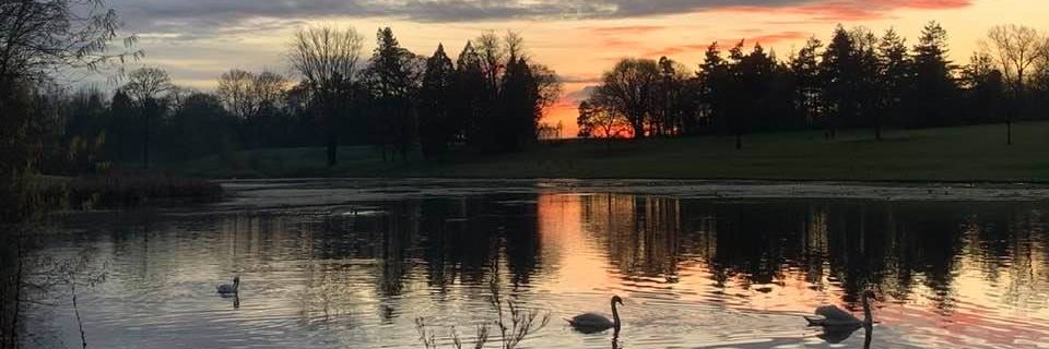 Ms_Nichola's profile banner image