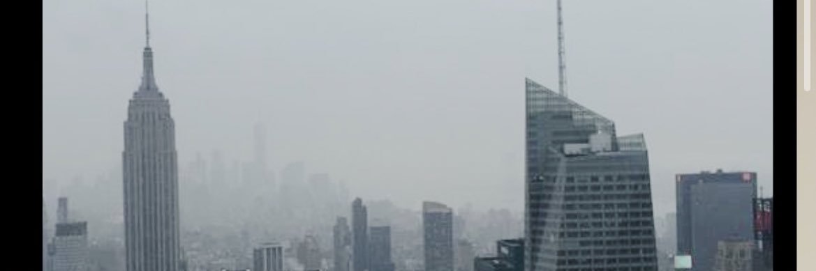ltoau's profile banner image