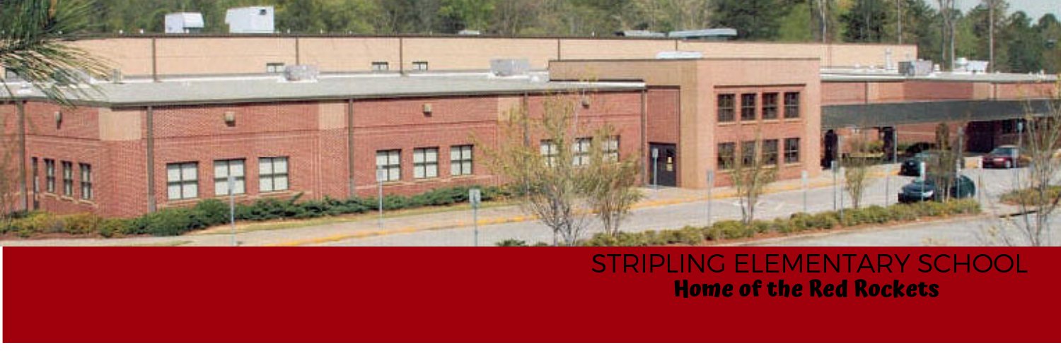 StriplingES's profile banner image