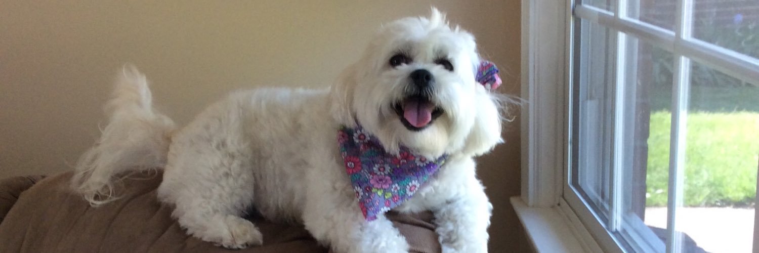 DebbyHouse5's profile banner image