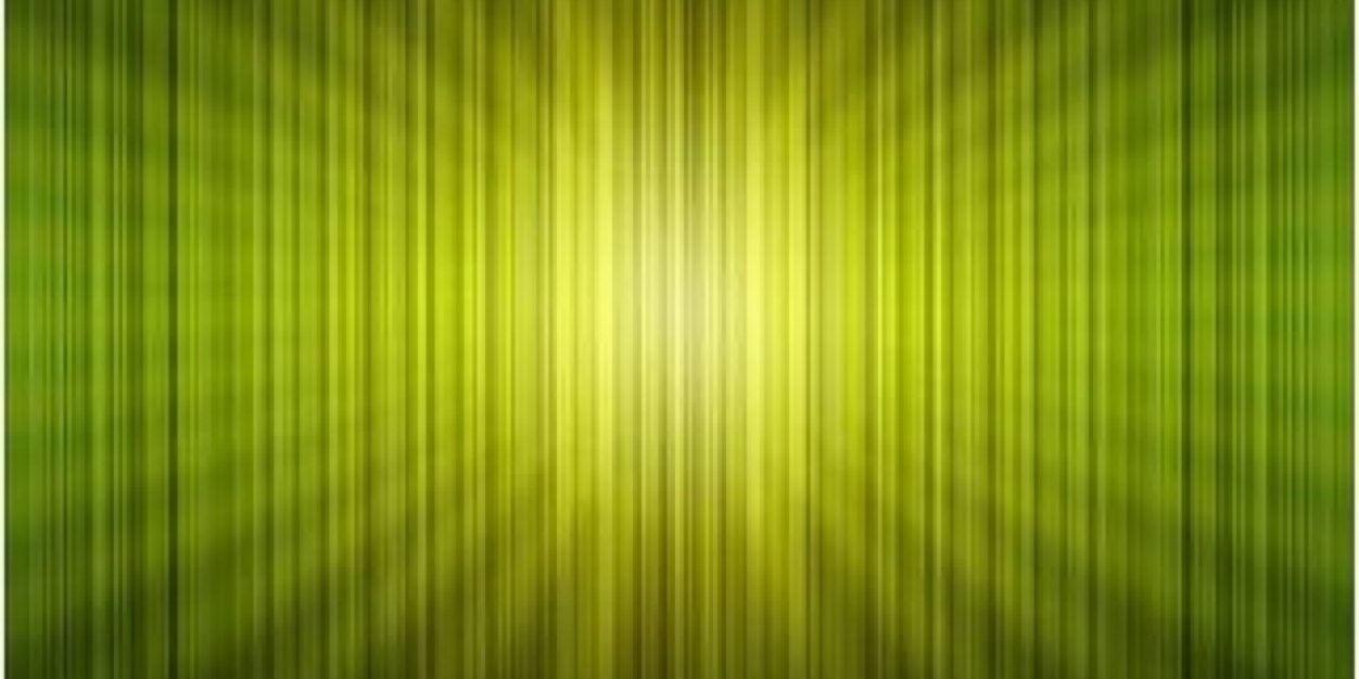 Caribbean_Taste's profile banner image