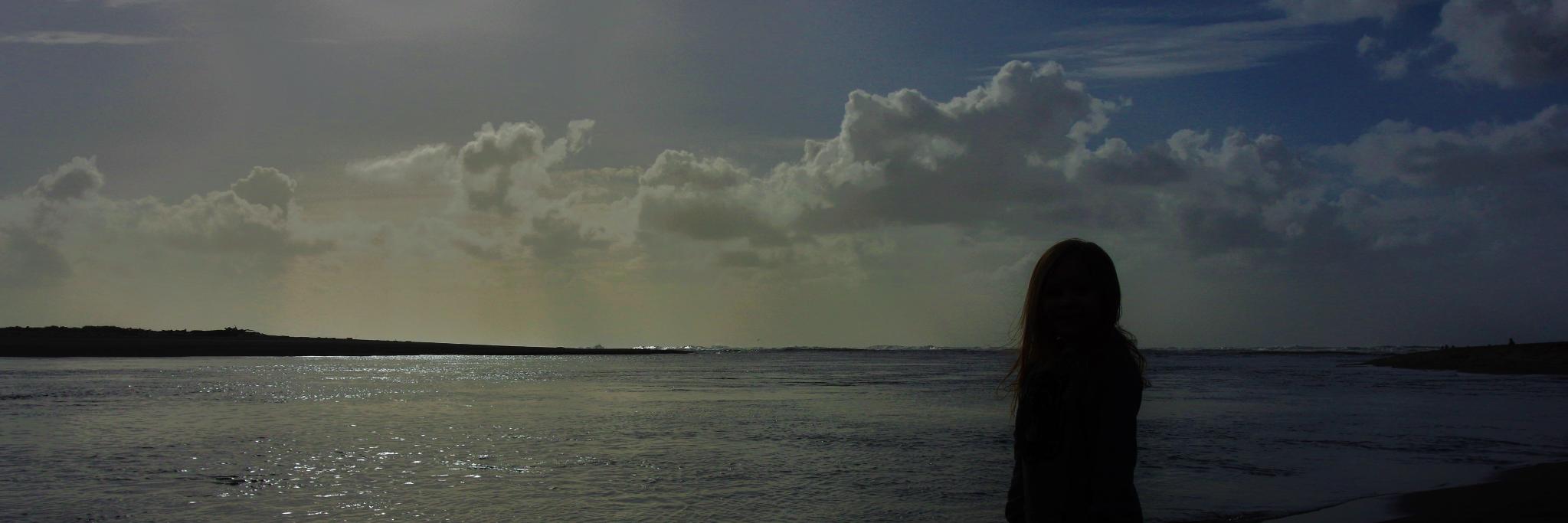 WokeScolded's profile banner image