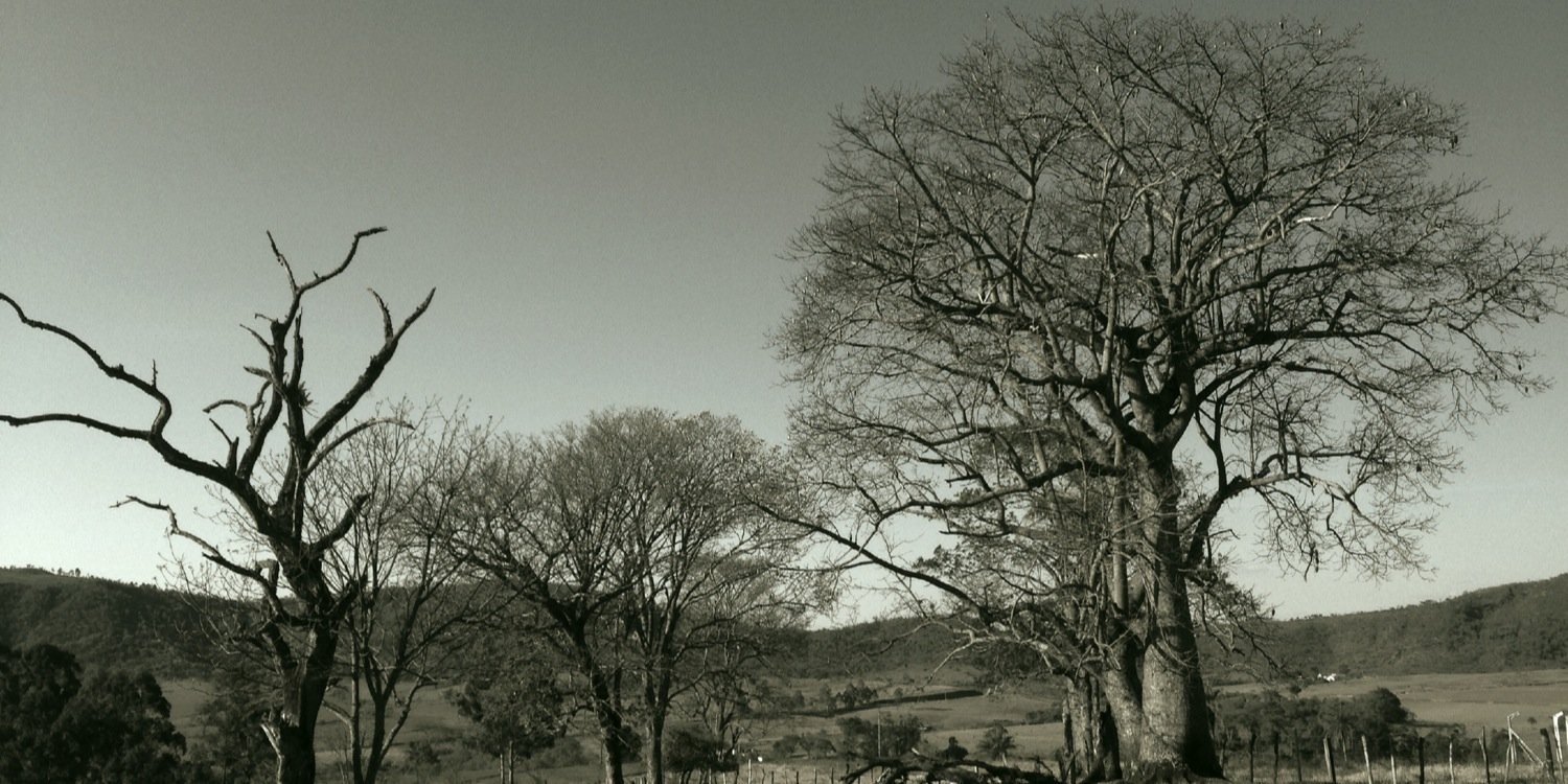 mateusrodrix's profile banner image