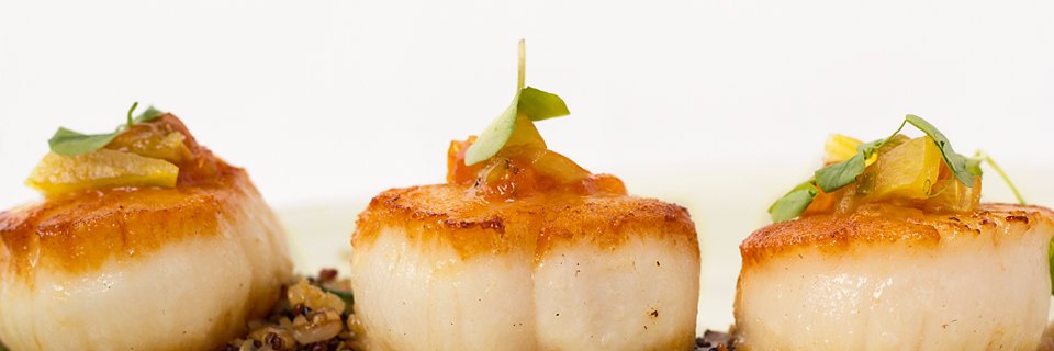 Harmony Group banner